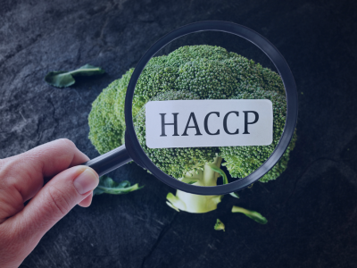 Aggiornamento di Igiene degli alimenti (HACCP - Sicurezza Alimentare) Aggiornamento di Igiene degli alimenti (HACCP - Sicurezza Alimentare)